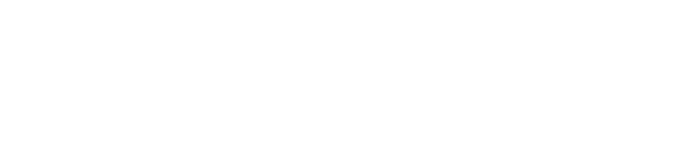 ElectricRides